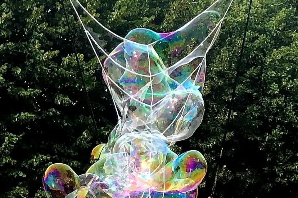 Phileomagicien — photo 4