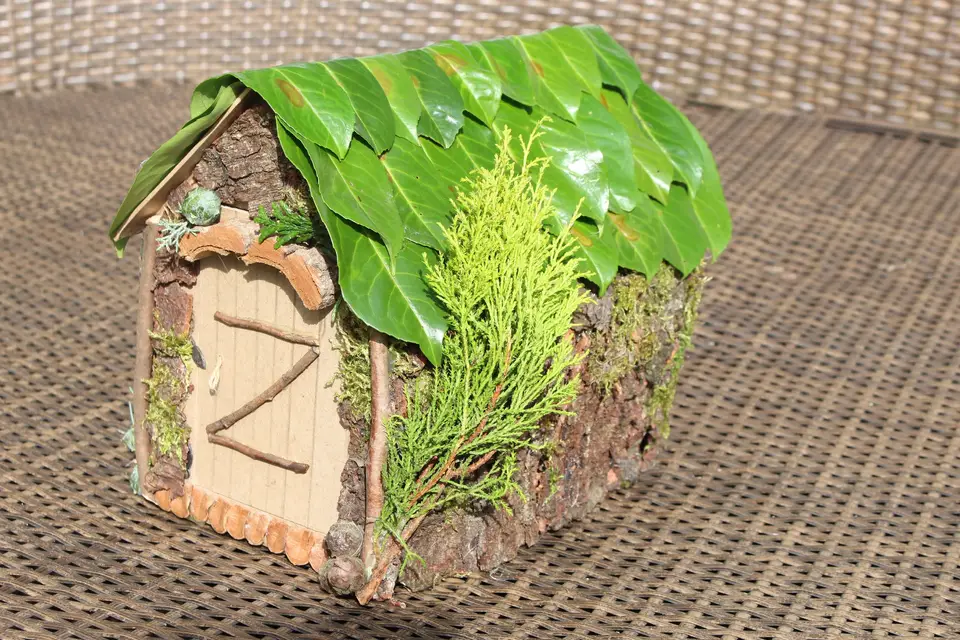 Monita Evénements — photo 9