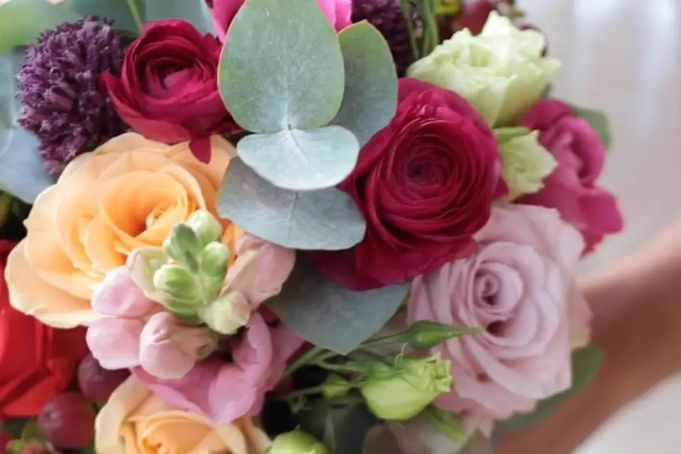 Lili Production — photo 3