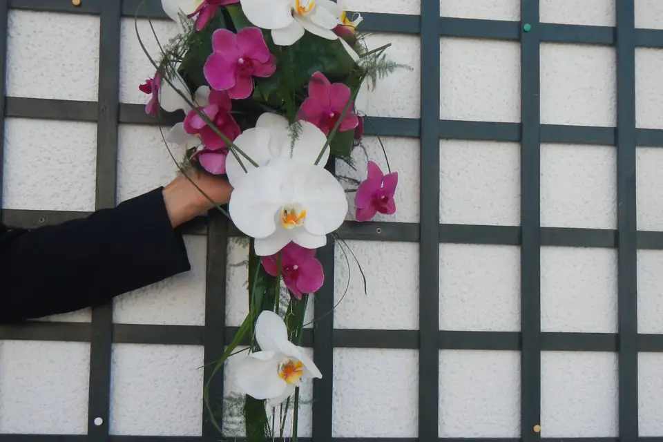 Aux Fleurs d'Annie — photo 6