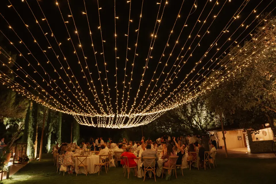 Domaine Le Grand Belly — photo 5