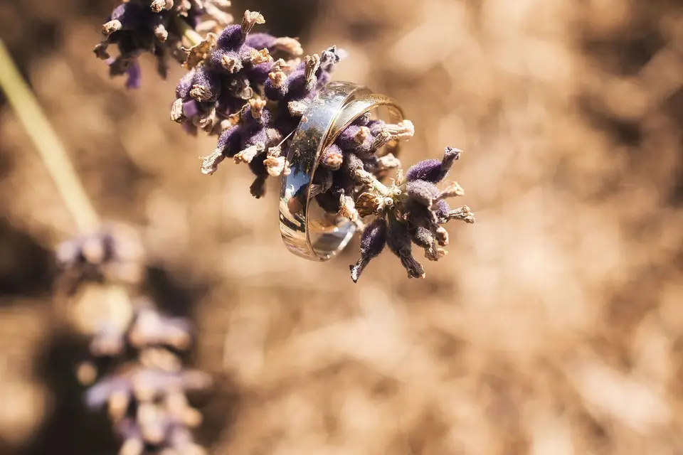 MF Passion Photography — photo 7