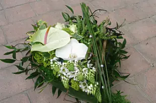 Au Coq'Licot — photo 8