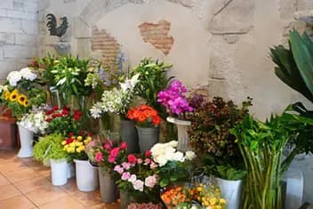 Au Coq'Licot — photo 7