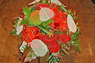 Au Coq'Licot — photo 6