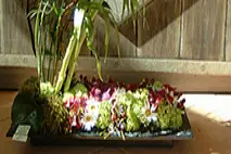 Au Coq'Licot — photo 5