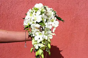 Au Coq'Licot — photo 4