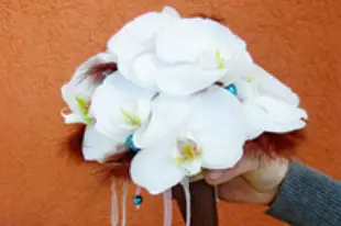 Au Coq'Licot — photo 3