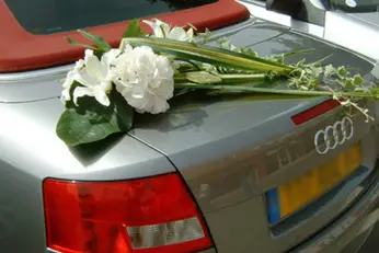 Au Coq'Licot — photo 2