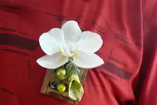 Au Coq'Licot — photo 1