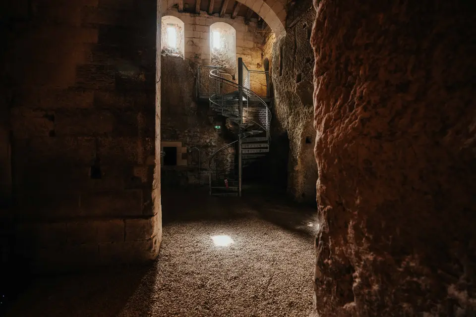 Domaine Paon Perché — photo 4