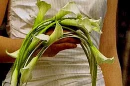 Jardifleurs — photo 2