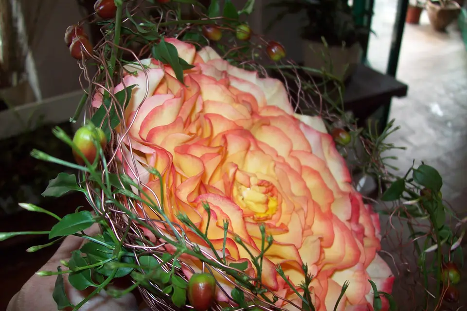 Fleurement Votre — photo 8