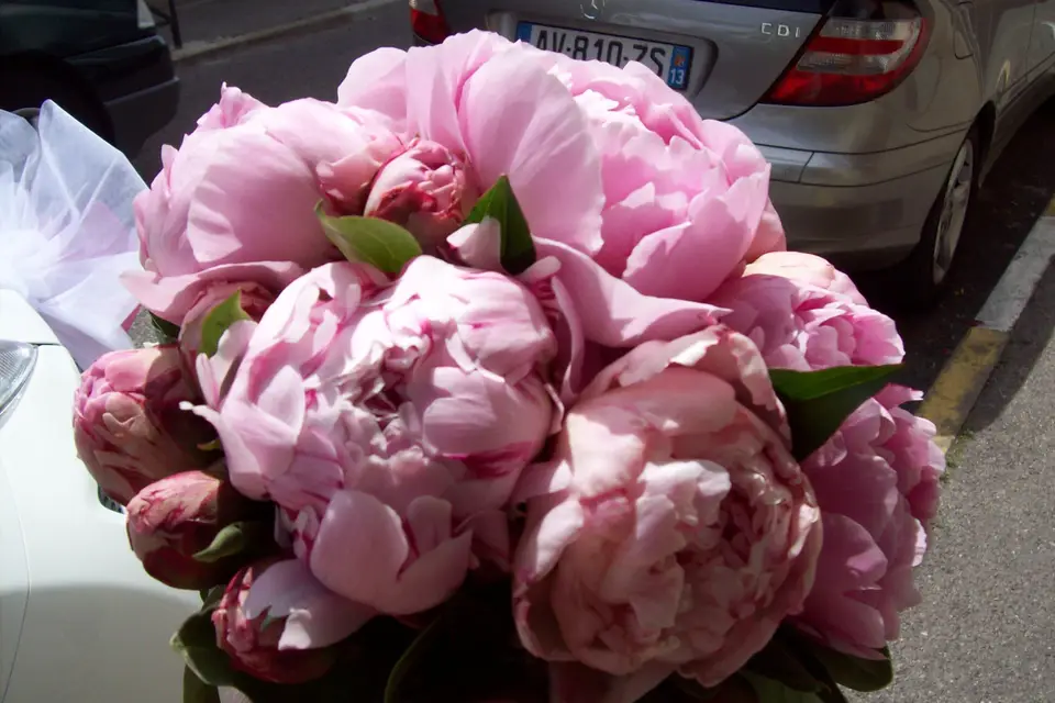 Fleurement Votre — photo 3