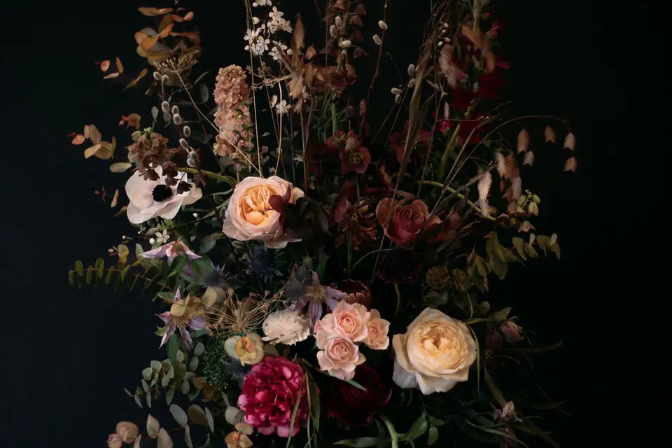 Aude Rose — photo 6