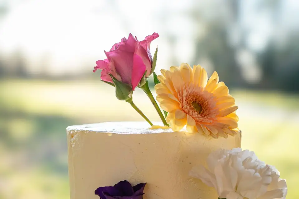 Entre Chênes et Pins — photo 4