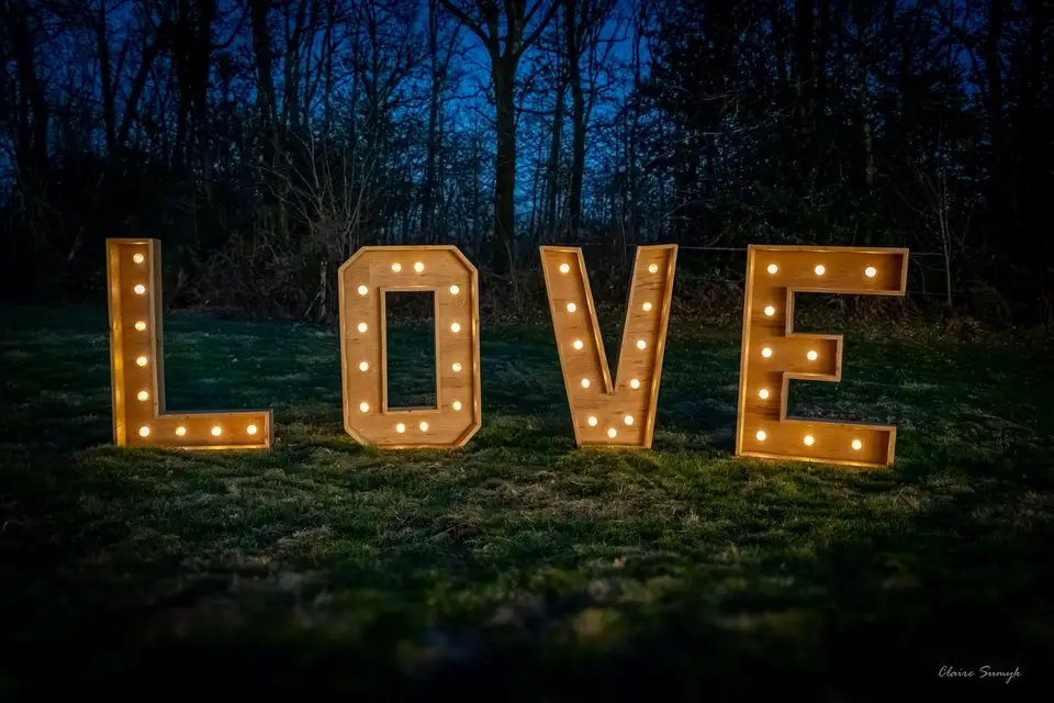 Entre Chênes et Pins — photo 6