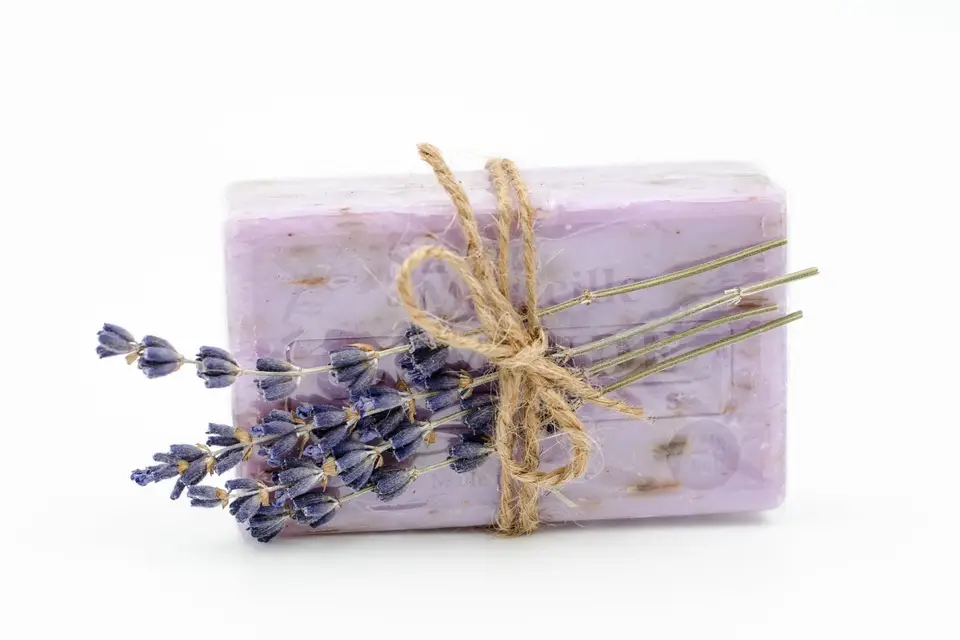 Folies de Provence — photo 3