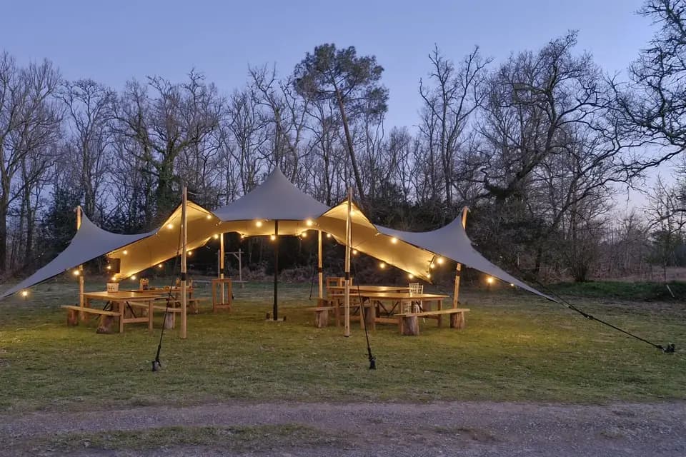 Entre Chênes et Pins — photo 1