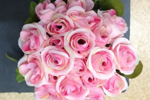 L'Eglantine — photo 1