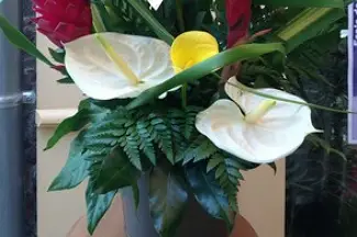 L'Eglantine — photo 5