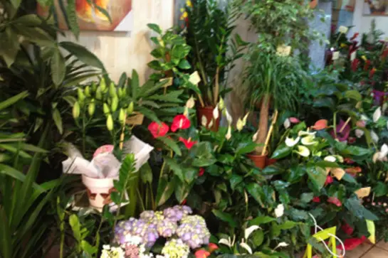 L'Eglantine — photo 7