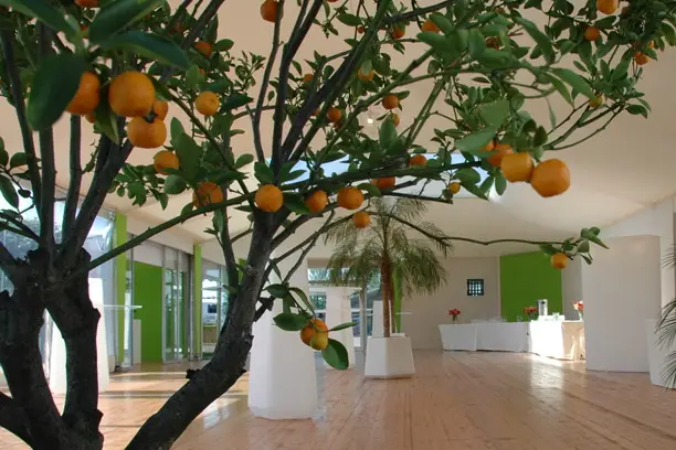 H. Koncept — photo 6