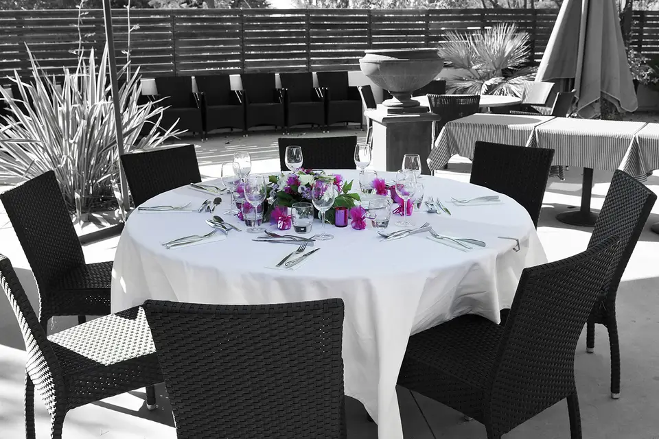 Pura Vida — photo 8