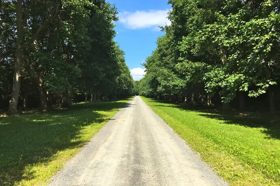 Château du Perron — photo 9