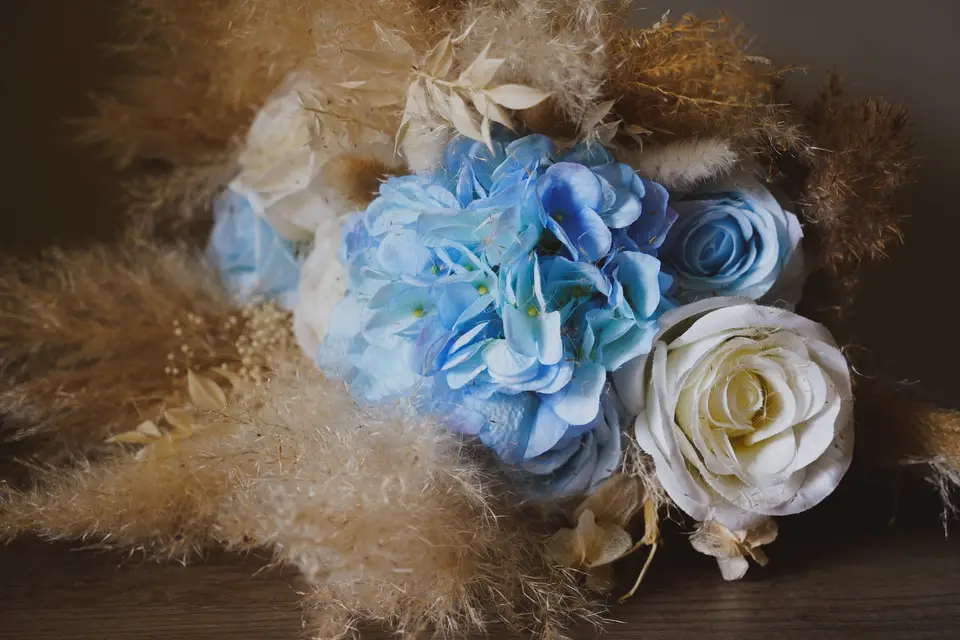 Rose's Photography — photo 5