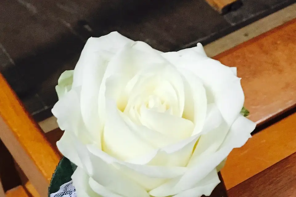 Auréline Fleuriste — photo 8