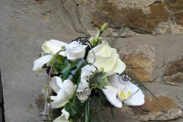 Aux Prairies Fleuries — photo 8