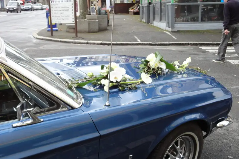 Aux Prairies Fleuries — photo 4