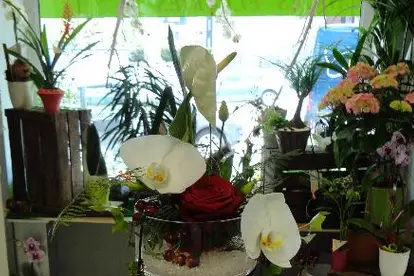 Aux Prairies Fleuries — photo 3