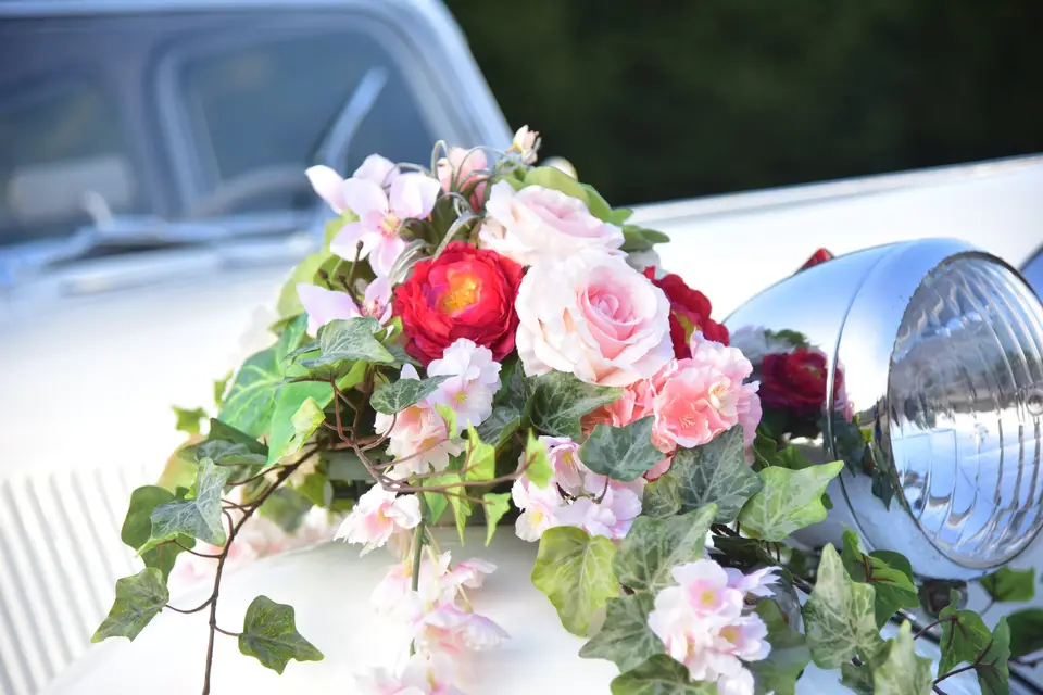 La Vie en Rose — photo 7