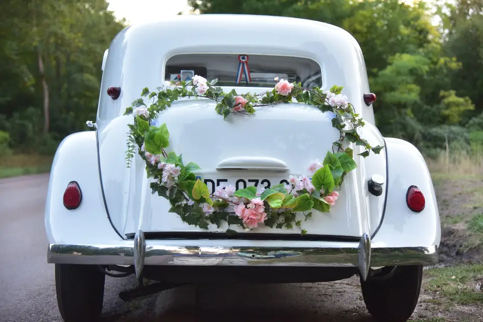 La Vie en Rose — photo 8