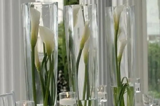 La Vie en Rose — photo 2