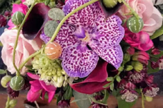 La Vie en Rose — photo 1