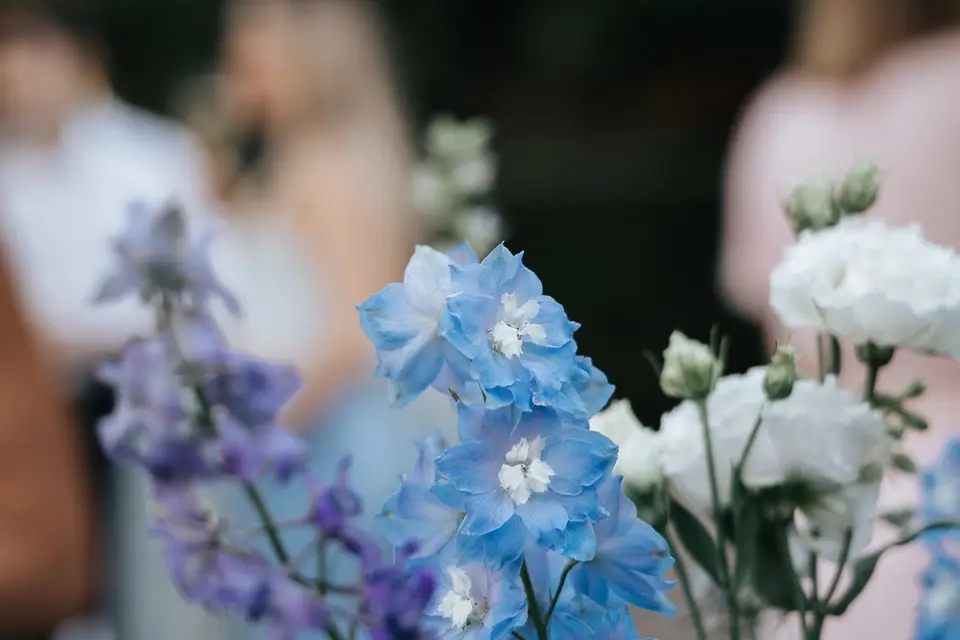 Bouquet Passion — photo 2