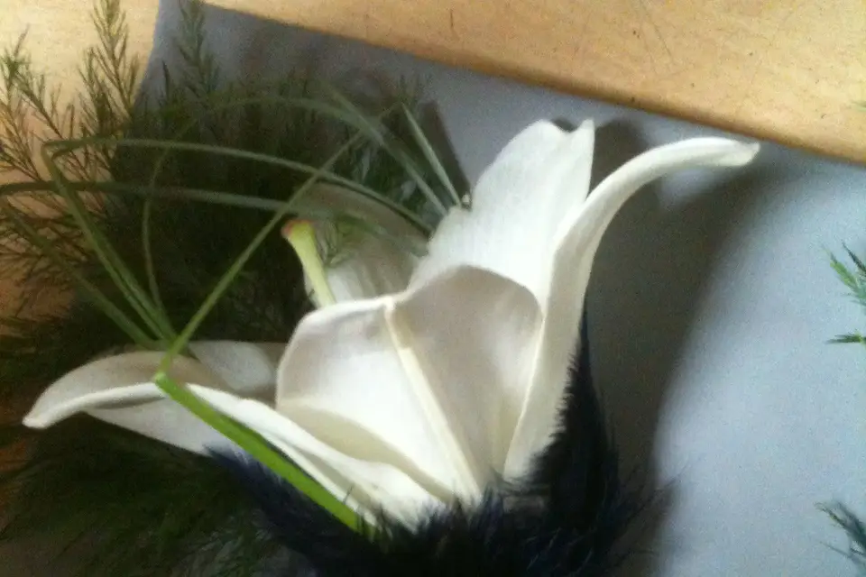 Floréal — photo 5