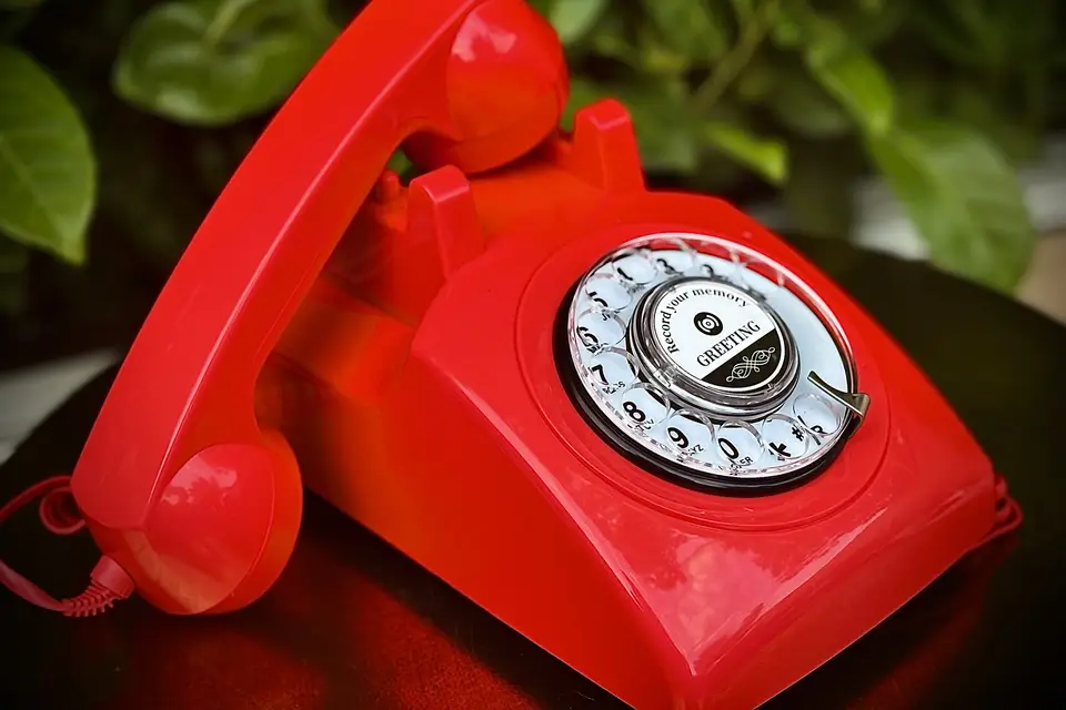 Lionesss Capture — photo 3