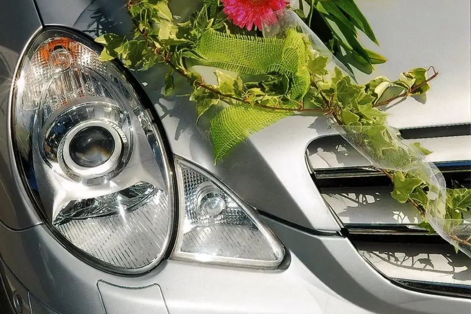 Ambiance Fleurs — photo 7