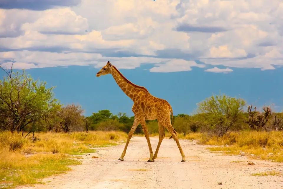 Seal Adventures — photo 5