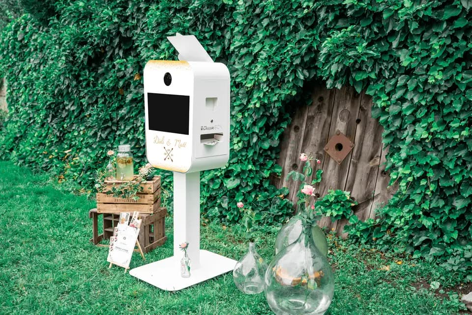 Cheeesebox Nord — photo 4