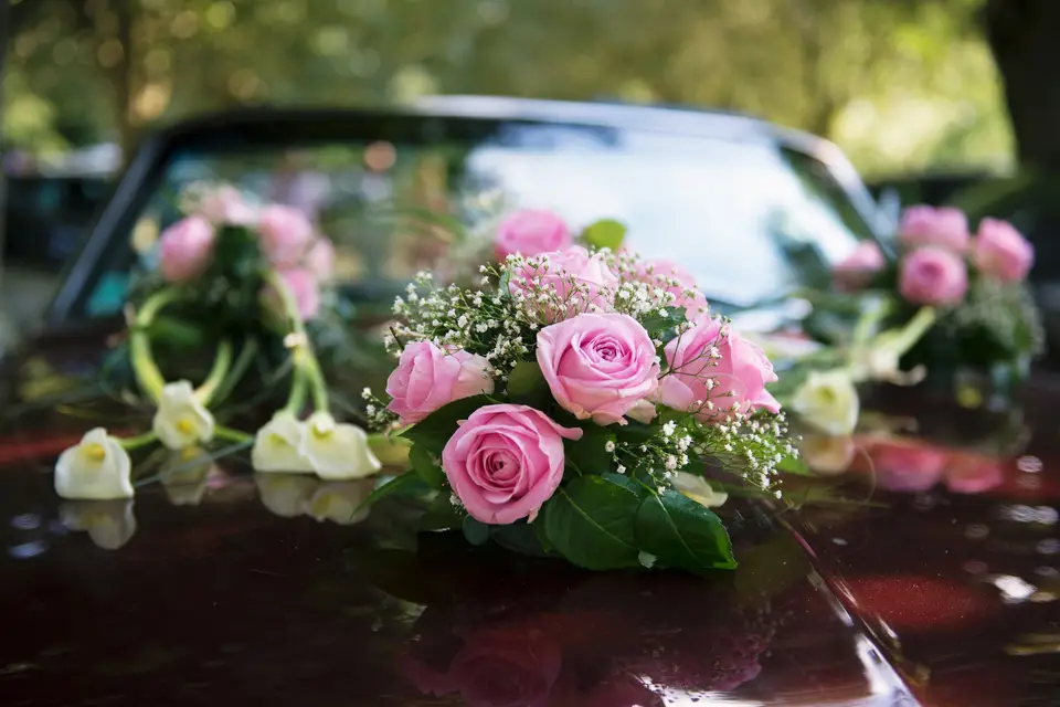 Frédéric Moisan Photographie — photo 7