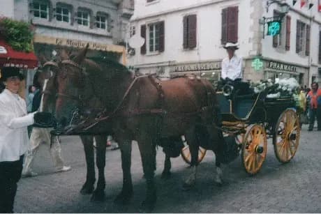 Association Attelages Côte Basque — photo 4