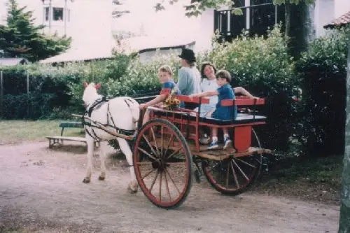 Association Attelages Côte Basque — photo 2