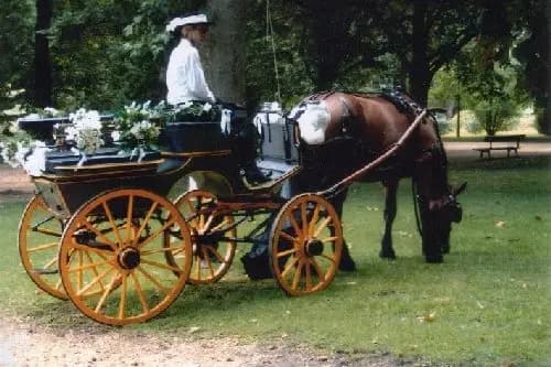 Association Attelages Côte Basque