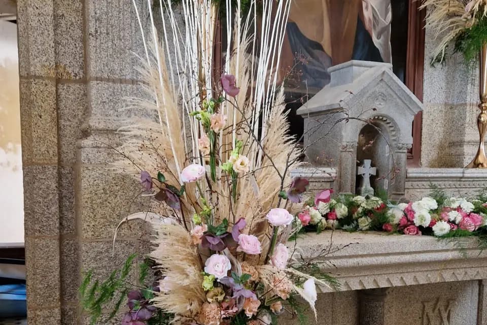 Violette et Pimprenelle — photo 3