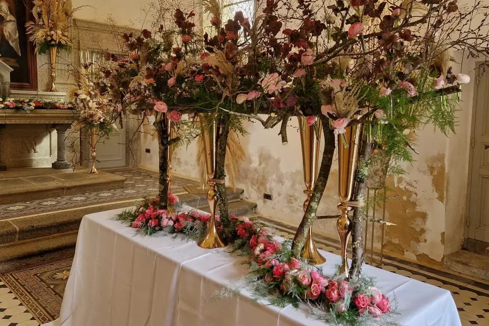 Violette et Pimprenelle — photo 1